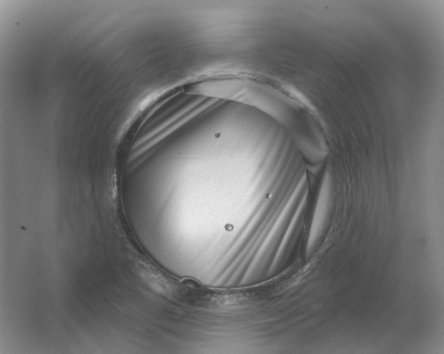 X0000064721461200602241620