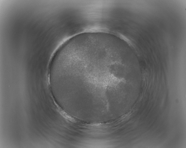 X0000064721462200602241620