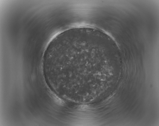 X0000064721463200602241620