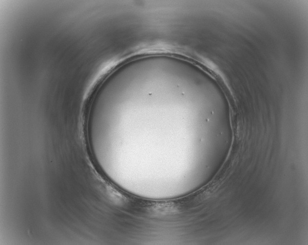 X0000064721464200602241620