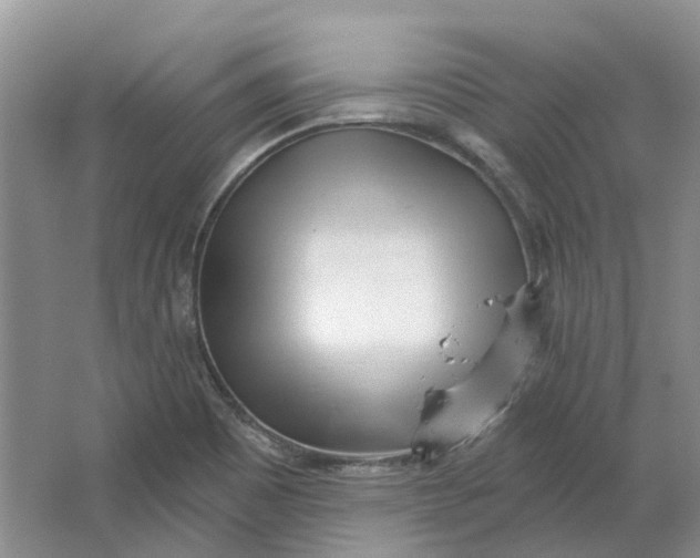 X0000064721465200602241620