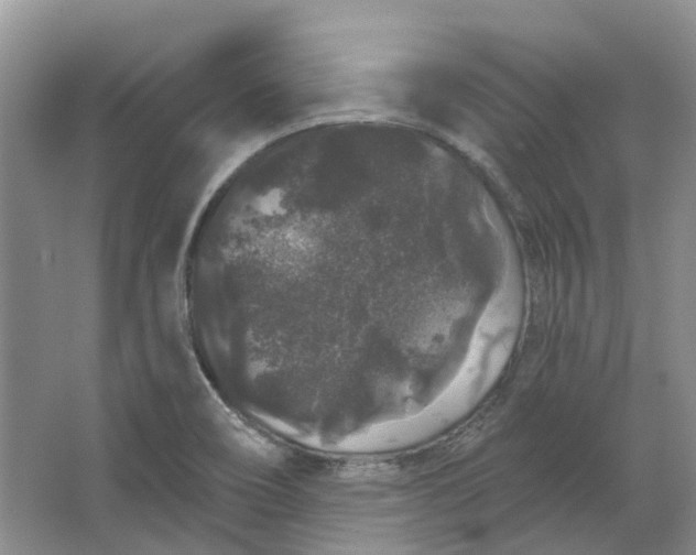 X0000064721466200602241620