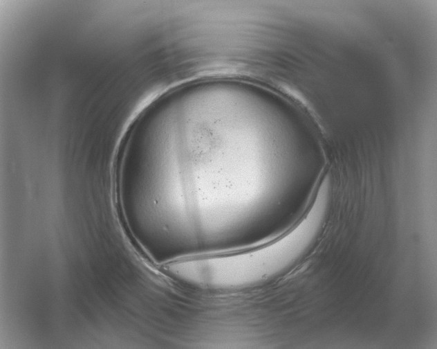 X0000064721467200602241620