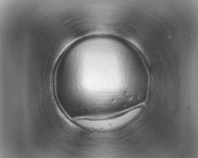 X0000064721468200602241620