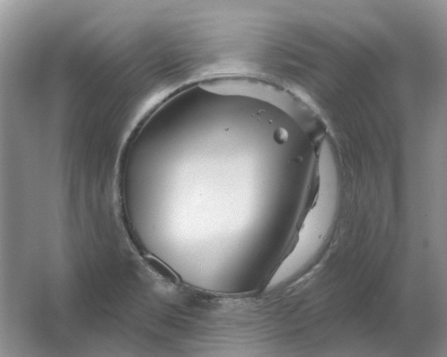 X0000064721469200602241620