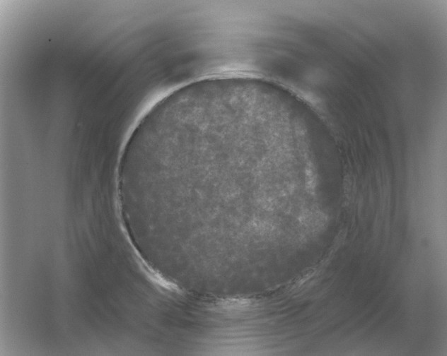 X0000064721470200602241620