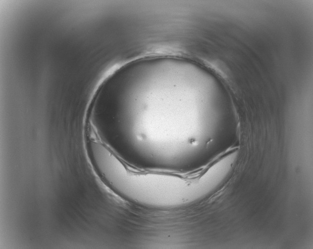 X0000064721471200602241620