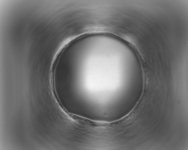 X0000064721472200602241620