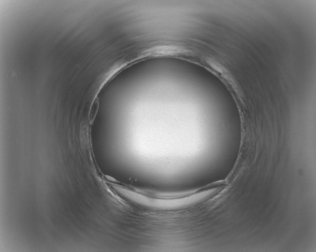 X0000064721473200602241620