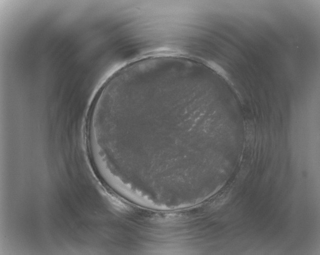 X0000064721474200602241620