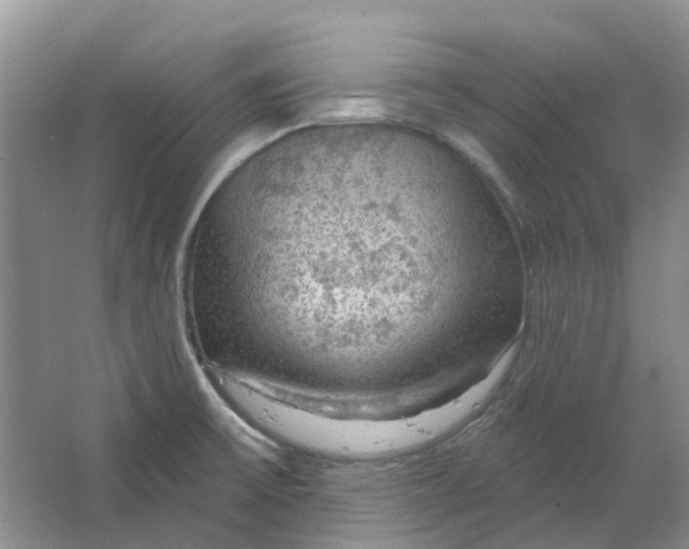 X0000064721475200602241620