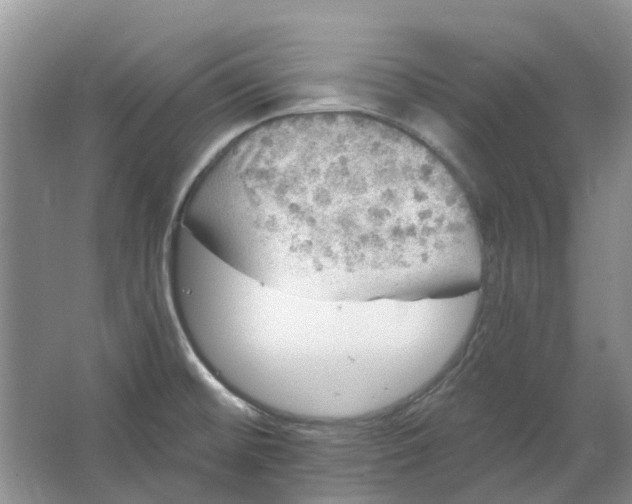 X0000064721476200602241620