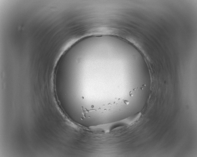 X0000064721477200602241620