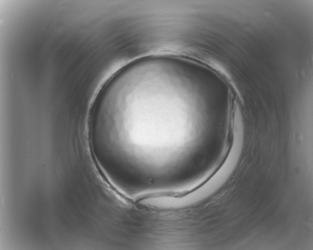 X0000064721480200602241620