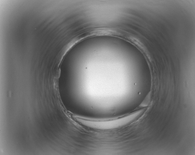 X0000064721481200602241620