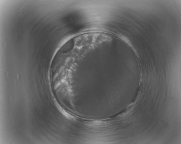 X0000064721482200602241620