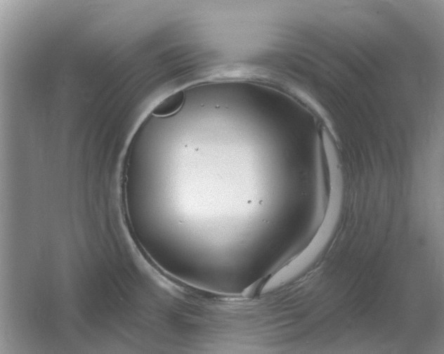 X0000064721483200602241620