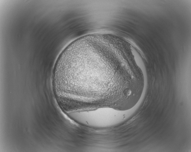 X0000064721484200602241620