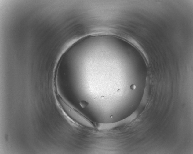 X0000064721485200602241620