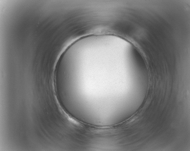 X0000064721486200602241620