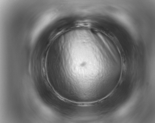 X0000064721487200602241620