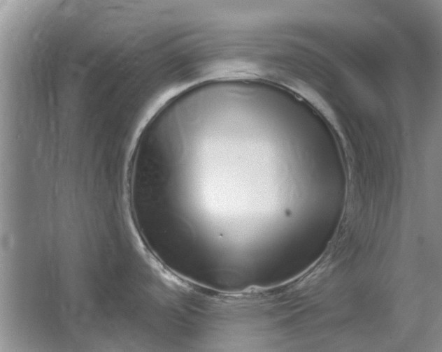 X0000064721488200602241620