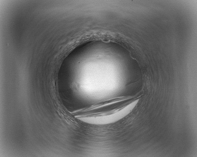 X0000064721489200602241618