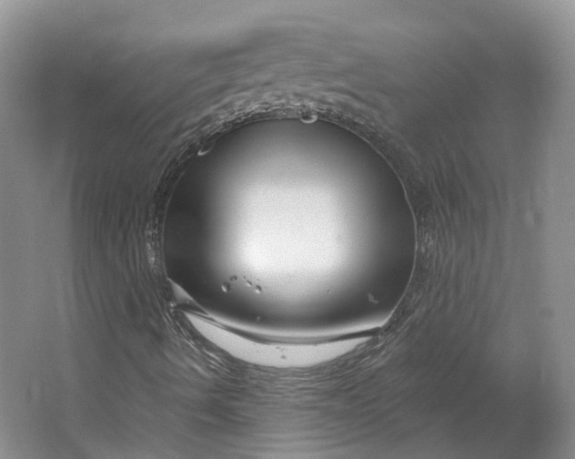 X0000064721490200602241618