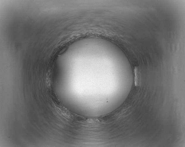 X0000064721491200602241618