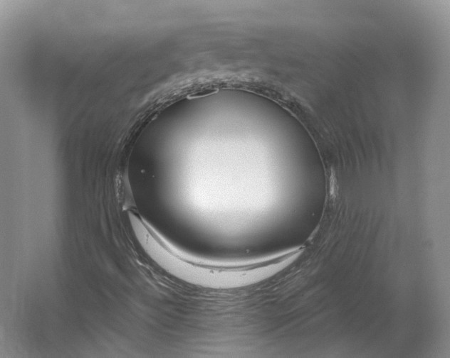 X0000064721492200602241618