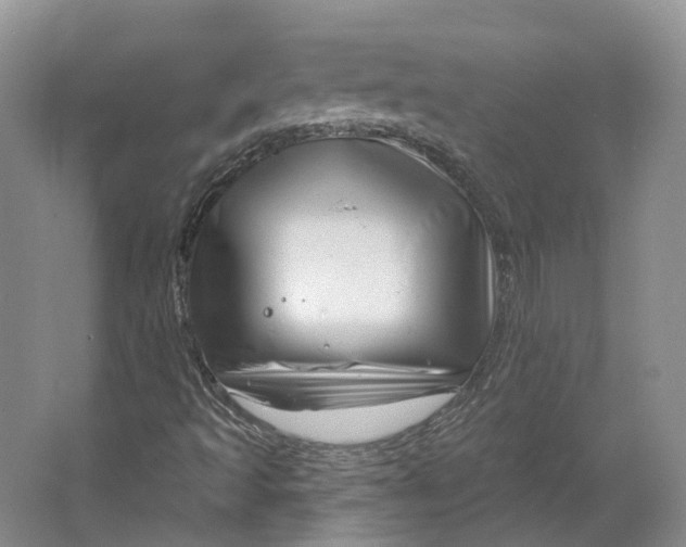 X0000064721493200602241618