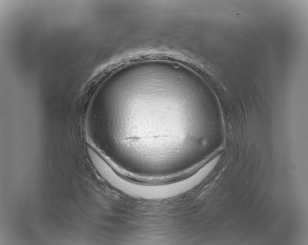 X0000064721494200602241619