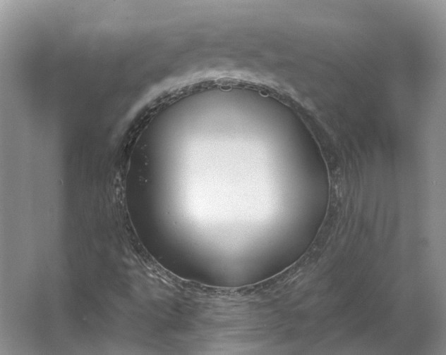 X0000064721495200602241619