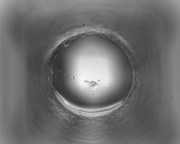 X0000064721496200602241619