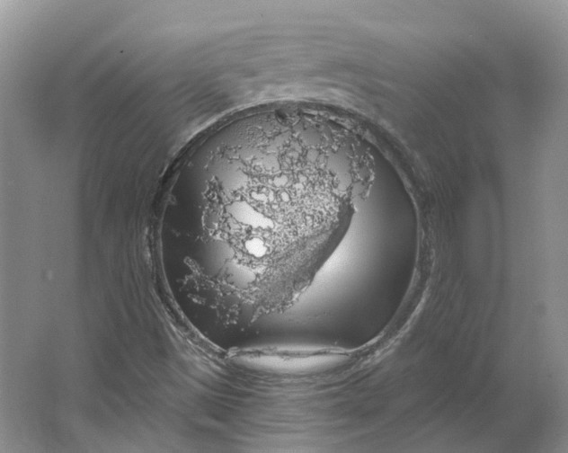 X0000064721497200602241619