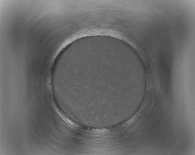 X0000064721498200602241619