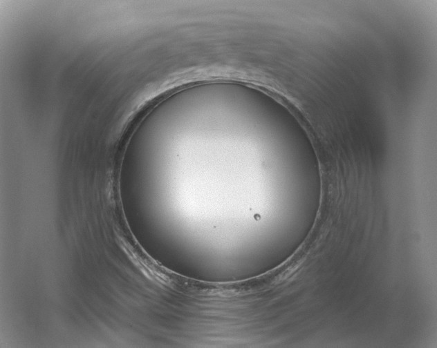 X0000064721499200602241619