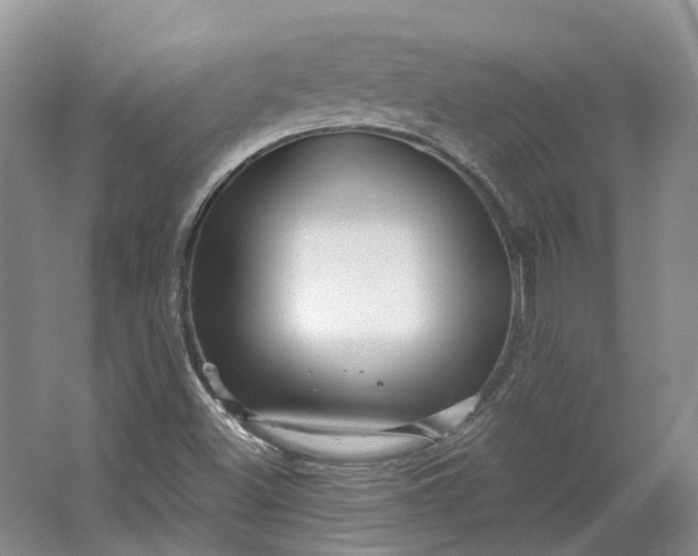 X0000064721500200602241619