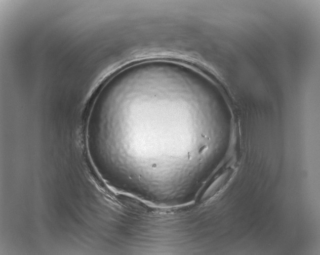 X0000064721501200602241619