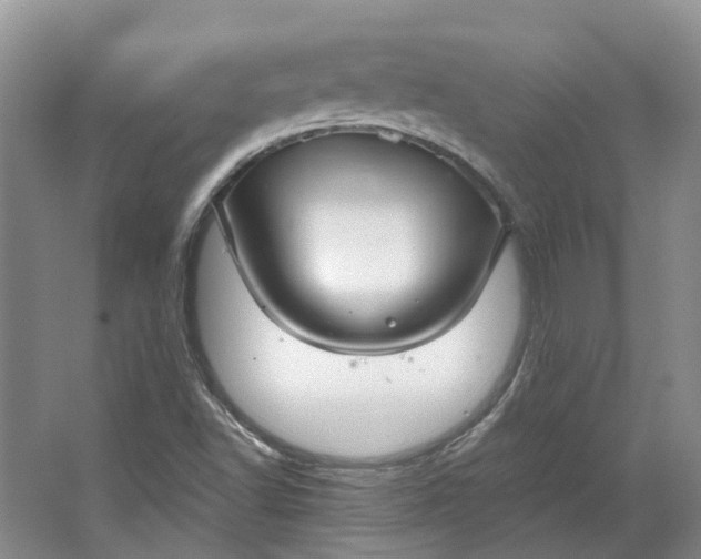 X0000064721502200602241619