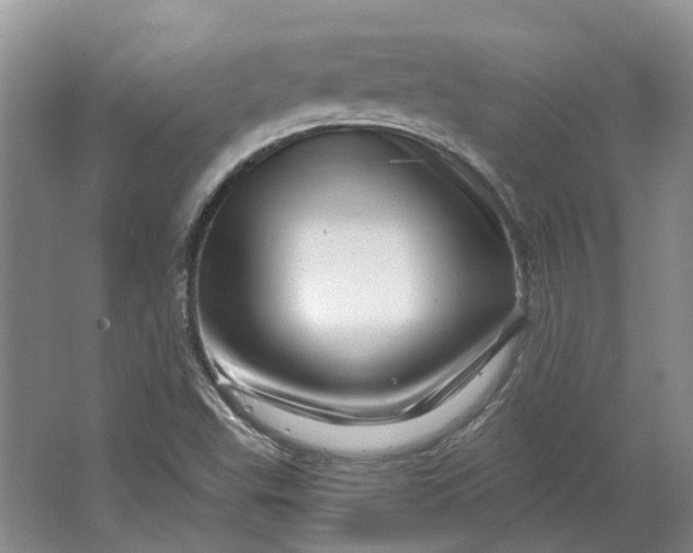 X0000064721503200602241619