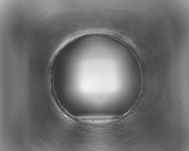 X0000064721504200602241619