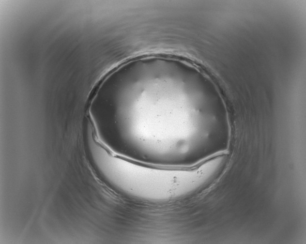 X0000064721505200602241619