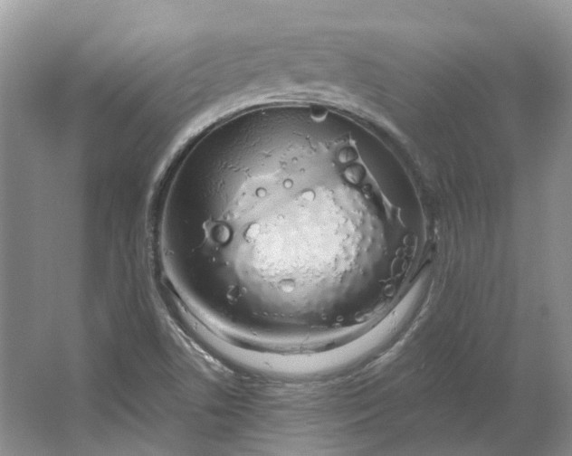 X0000064721506200602241619