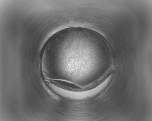 X0000064721507200602241619