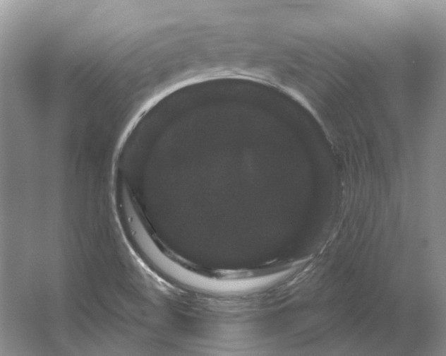 X0000064721508200602241619