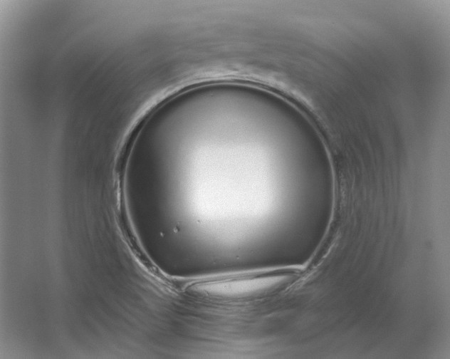 X0000064721509200602241619