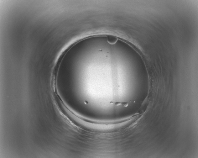 X0000064721510200602241619