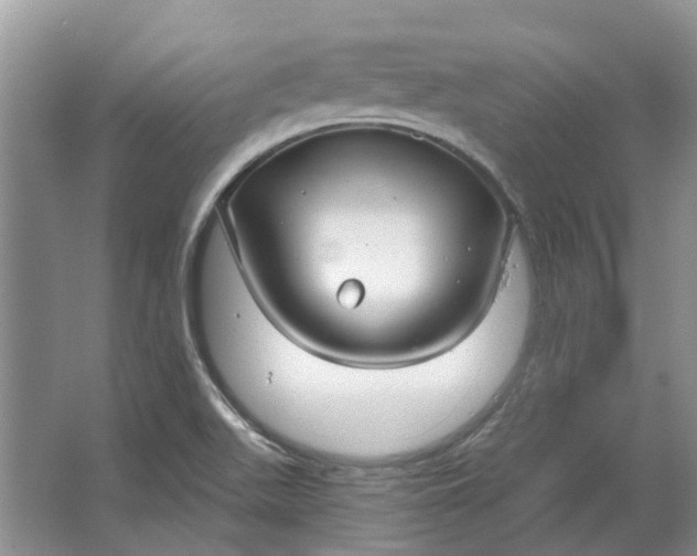 X0000064721511200602241619