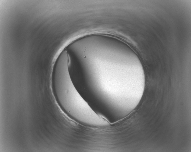 X0000064721512200602241619